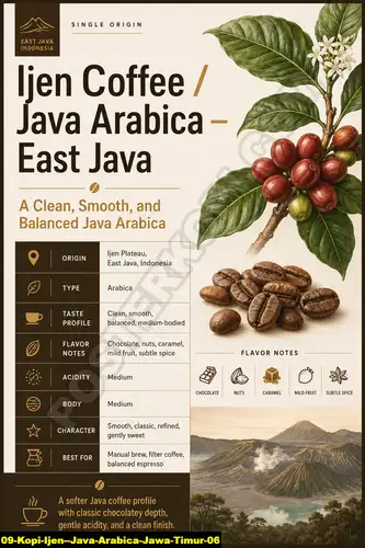 Kopi Ijen Java Arabica Jawa Timur 06